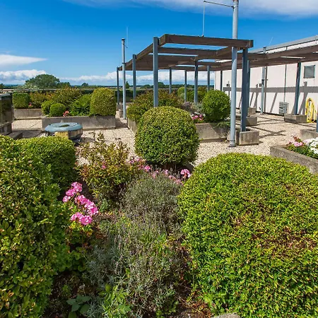 Berolina 316 - Moewennest